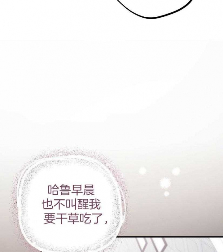 《 夏菲菲的兔子》漫画最新章节第57话免费下拉式在线观看章节第【4】张图片