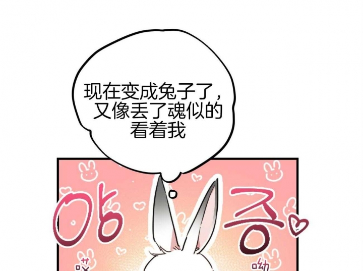 《 夏菲菲的兔子》漫画最新章节第5话免费下拉式在线观看章节第【47】张图片