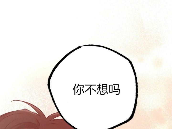 《 夏菲菲的兔子》漫画最新章节第69话免费下拉式在线观看章节第【82】张图片