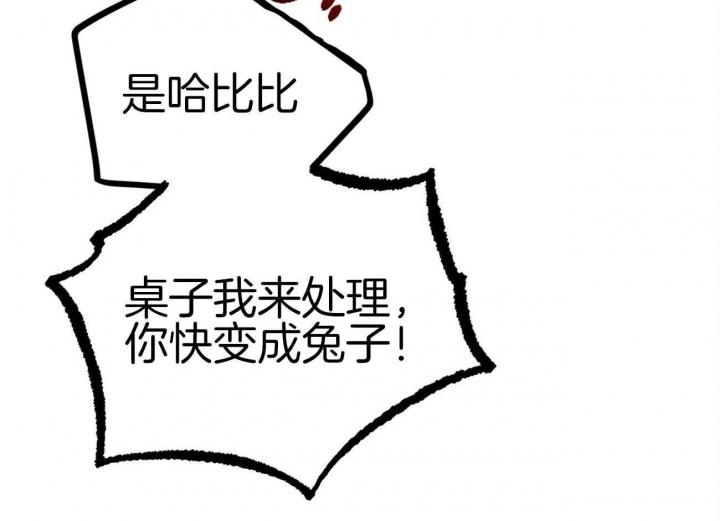 《 夏菲菲的兔子》漫画最新章节第18话免费下拉式在线观看章节第【6】张图片