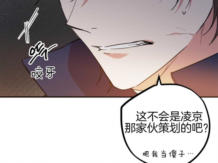 《 夏菲菲的兔子》漫画最新章节第3话免费下拉式在线观看章节第【36】张图片