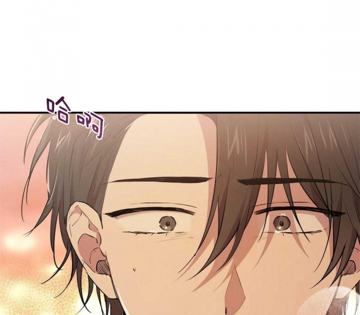 《 夏菲菲的兔子》漫画最新章节第65话免费下拉式在线观看章节第【87】张图片