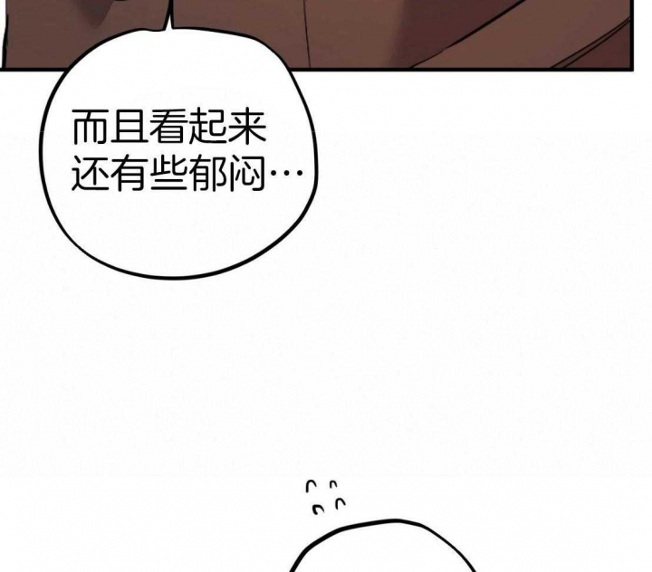 《 夏菲菲的兔子》漫画最新章节第53话免费下拉式在线观看章节第【54】张图片