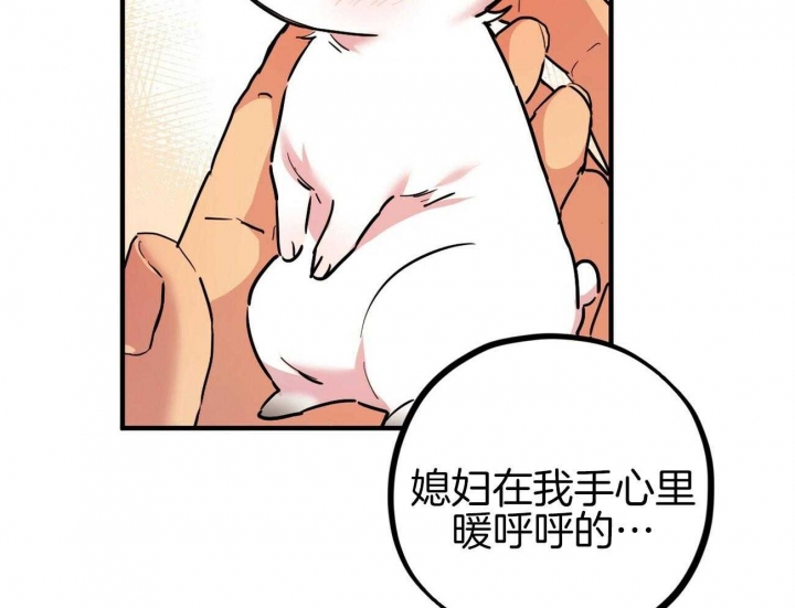 《 夏菲菲的兔子》漫画最新章节第7话免费下拉式在线观看章节第【26】张图片