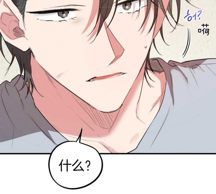 《 夏菲菲的兔子》漫画最新章节第48话免费下拉式在线观看章节第【7】张图片