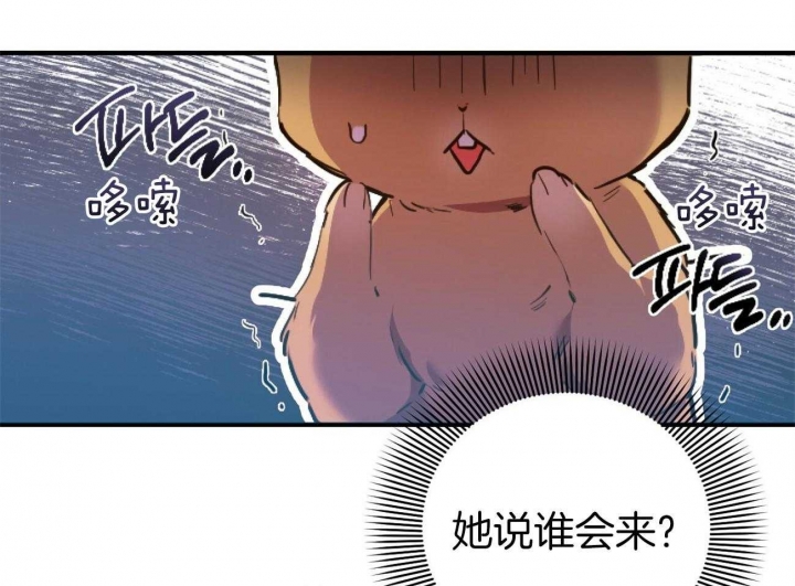 《 夏菲菲的兔子》漫画最新章节第2话免费下拉式在线观看章节第【13】张图片