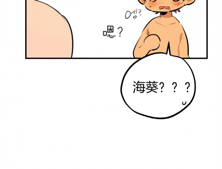 《 夏菲菲的兔子》漫画最新章节第72话免费下拉式在线观看章节第【33】张图片