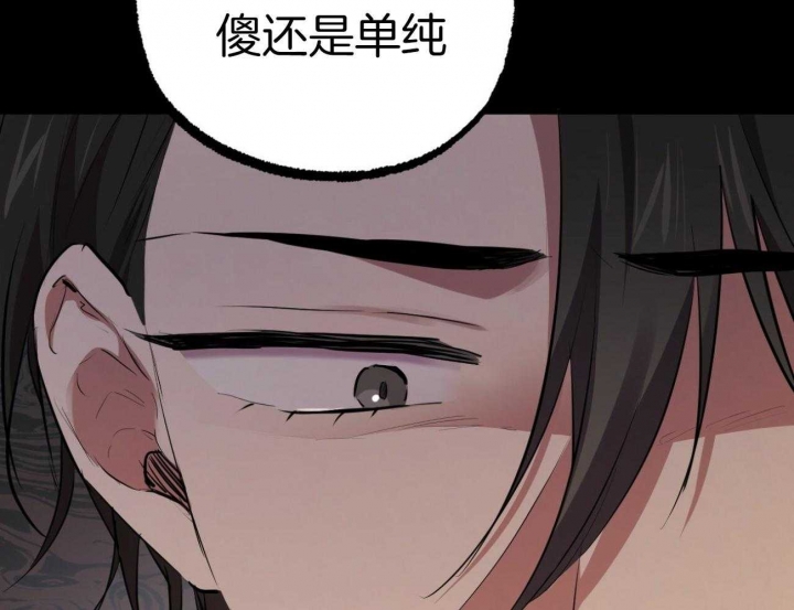 《 夏菲菲的兔子》漫画最新章节第71话免费下拉式在线观看章节第【87】张图片