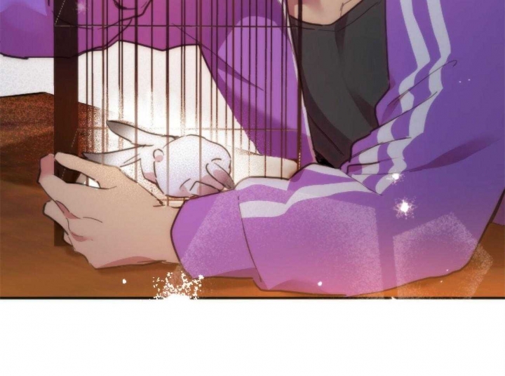 《 夏菲菲的兔子》漫画最新章节第6话免费下拉式在线观看章节第【77】张图片