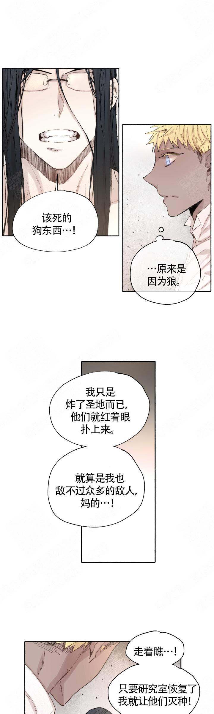 《巫师与狼》漫画最新章节第51话免费下拉式在线观看章节第【3】张图片