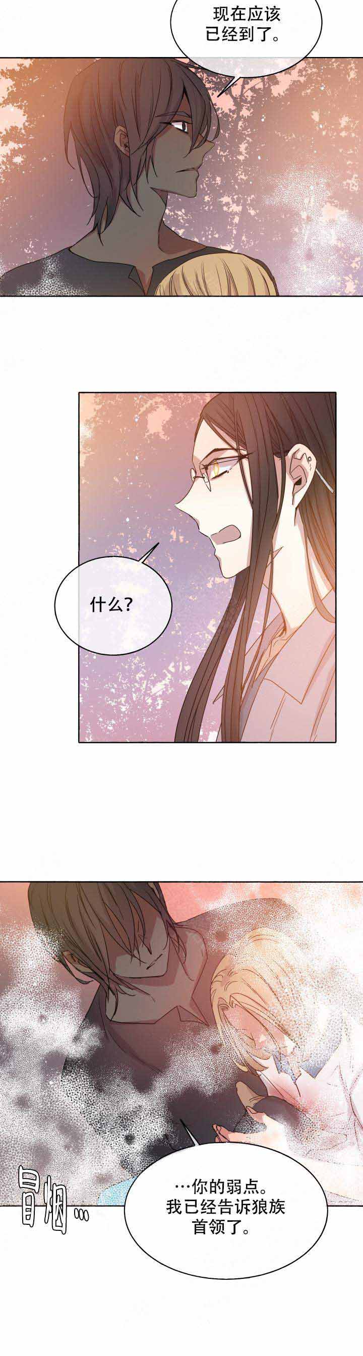 《巫师与狼》漫画最新章节第89话免费下拉式在线观看章节第【12】张图片