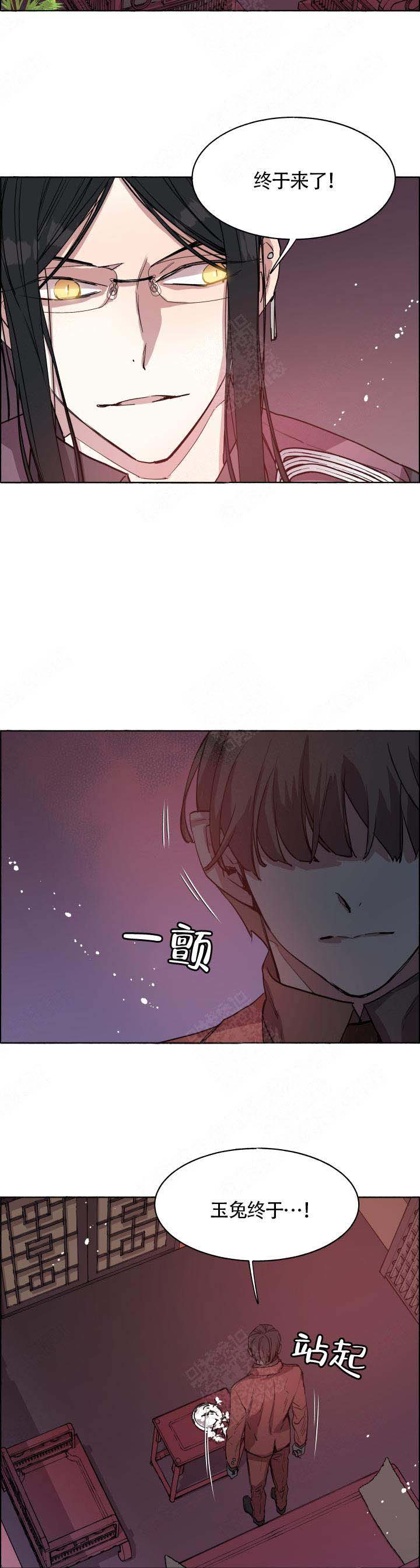 《巫师与狼》漫画最新章节第66话免费下拉式在线观看章节第【8】张图片