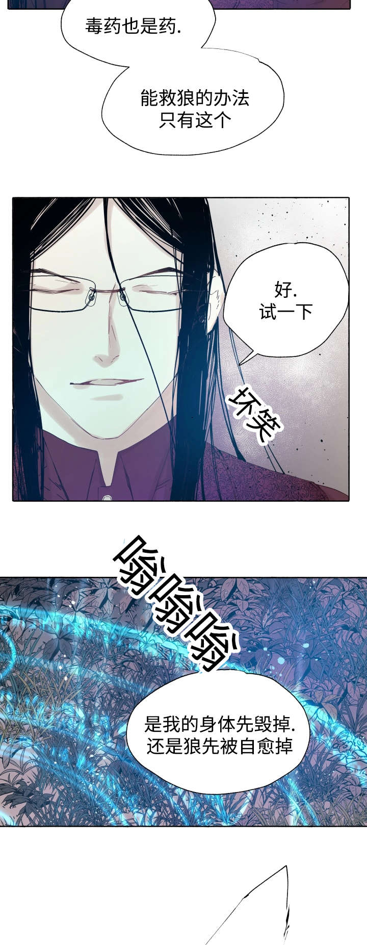 《巫师与狼》漫画最新章节第41话免费下拉式在线观看章节第【8】张图片