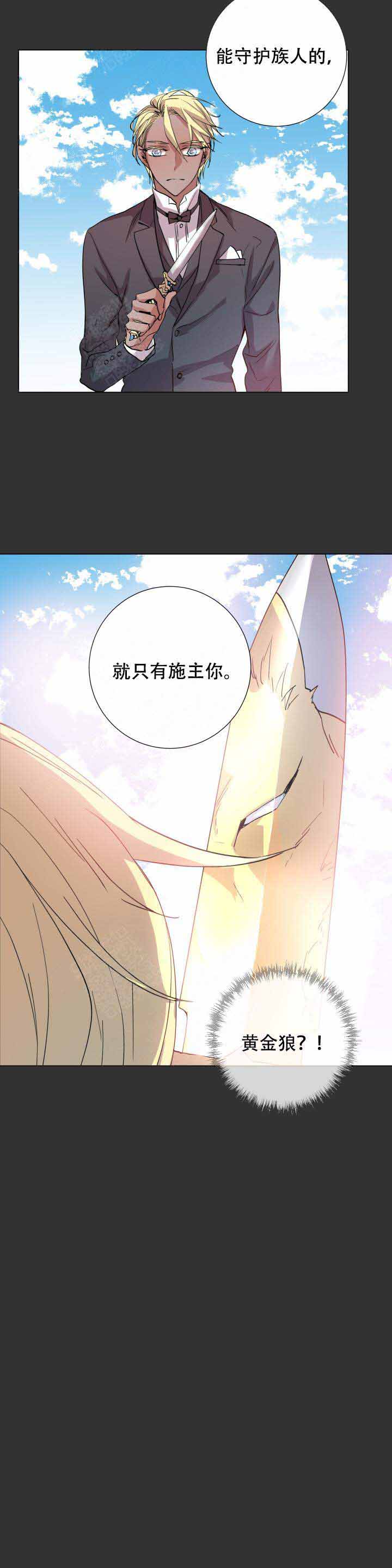 《巫师与狼》漫画最新章节第104话免费下拉式在线观看章节第【10】张图片