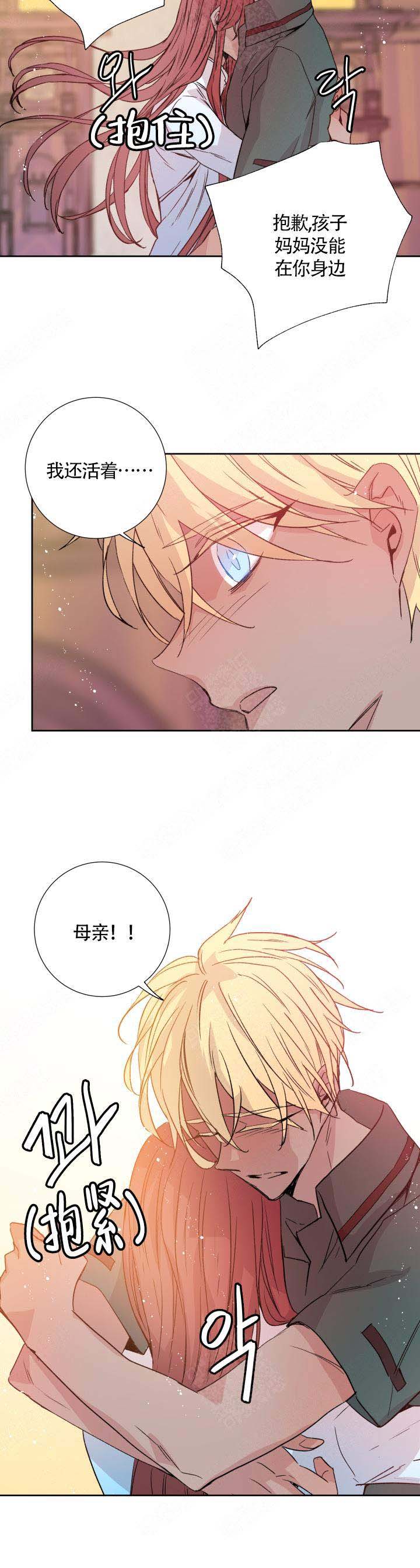 《巫师与狼》漫画最新章节第114话免费下拉式在线观看章节第【9】张图片