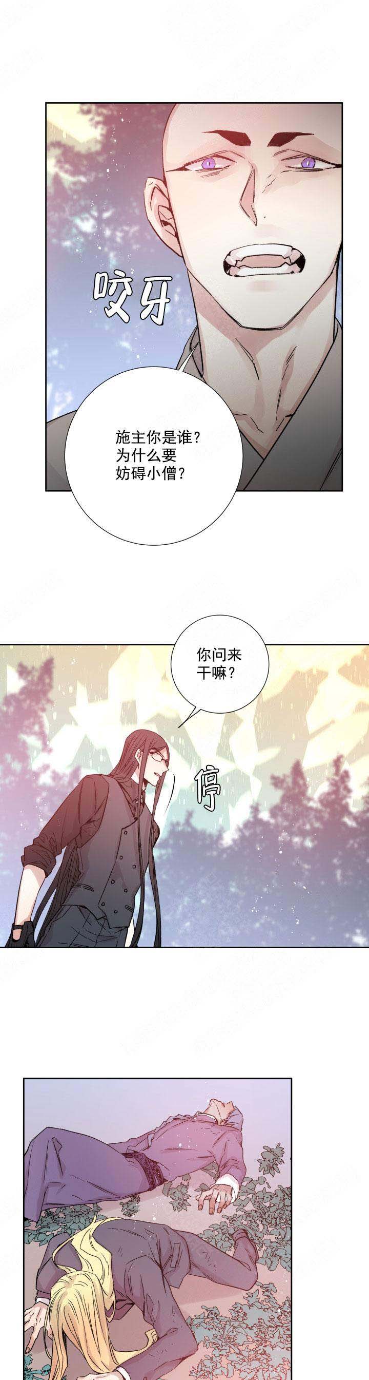 《巫师与狼》漫画最新章节第118话免费下拉式在线观看章节第【4】张图片