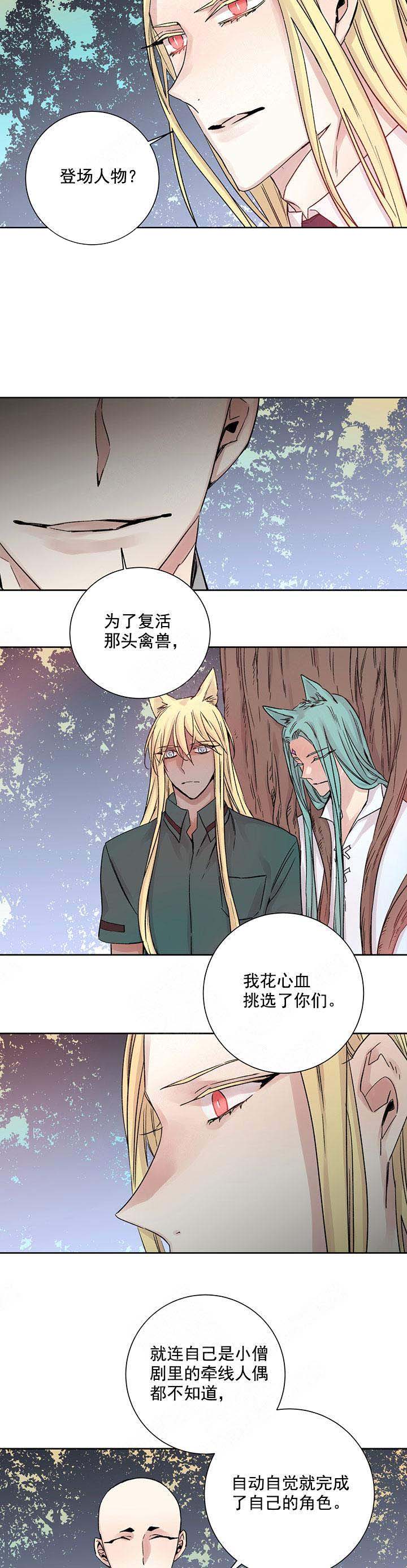 《巫师与狼》漫画最新章节第117话免费下拉式在线观看章节第【5】张图片