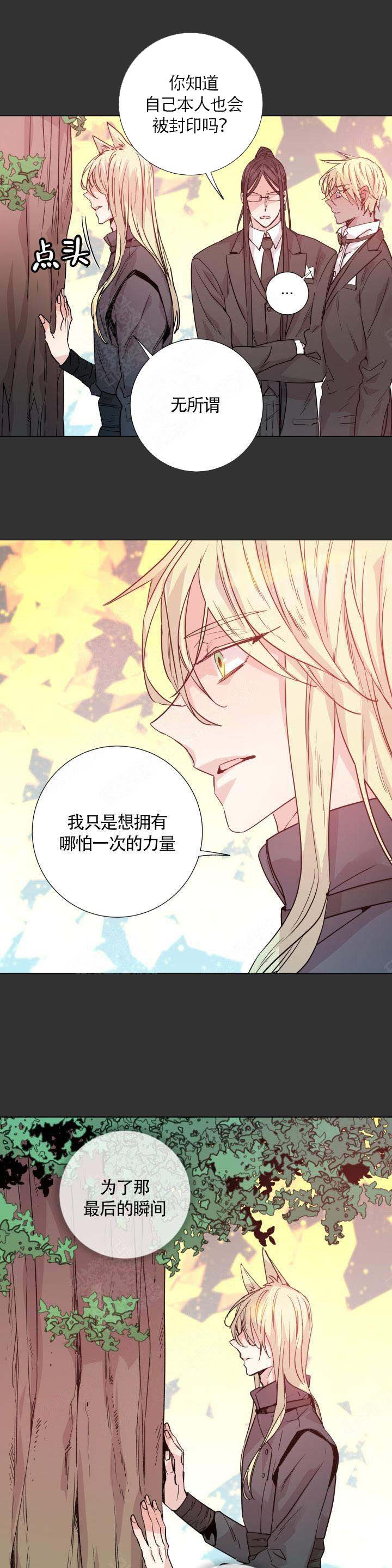 《巫师与狼》漫画最新章节第111话免费下拉式在线观看章节第【7】张图片