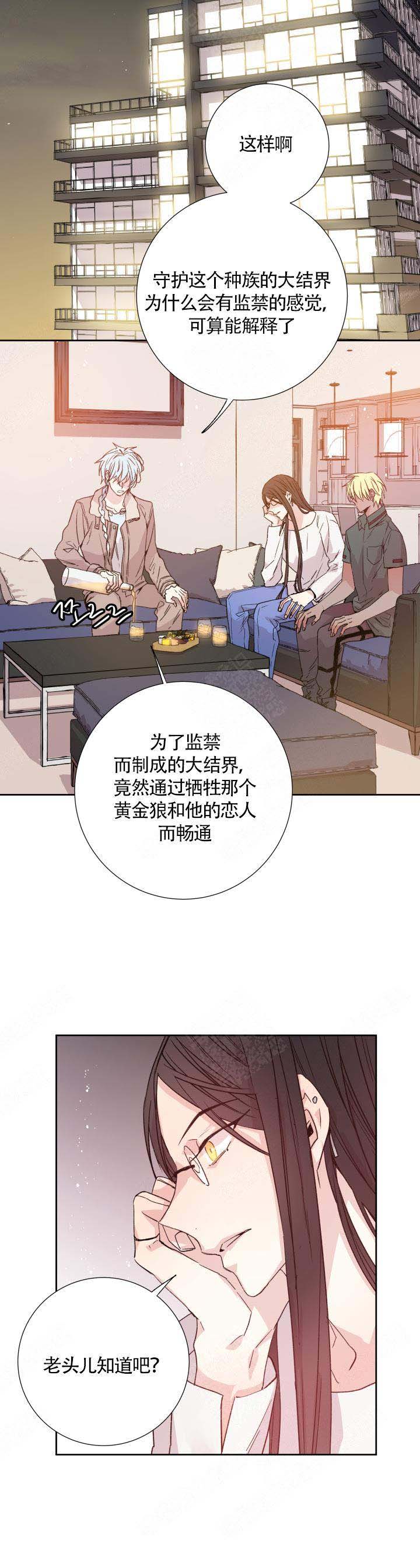 《巫师与狼》漫画最新章节第113话免费下拉式在线观看章节第【5】张图片