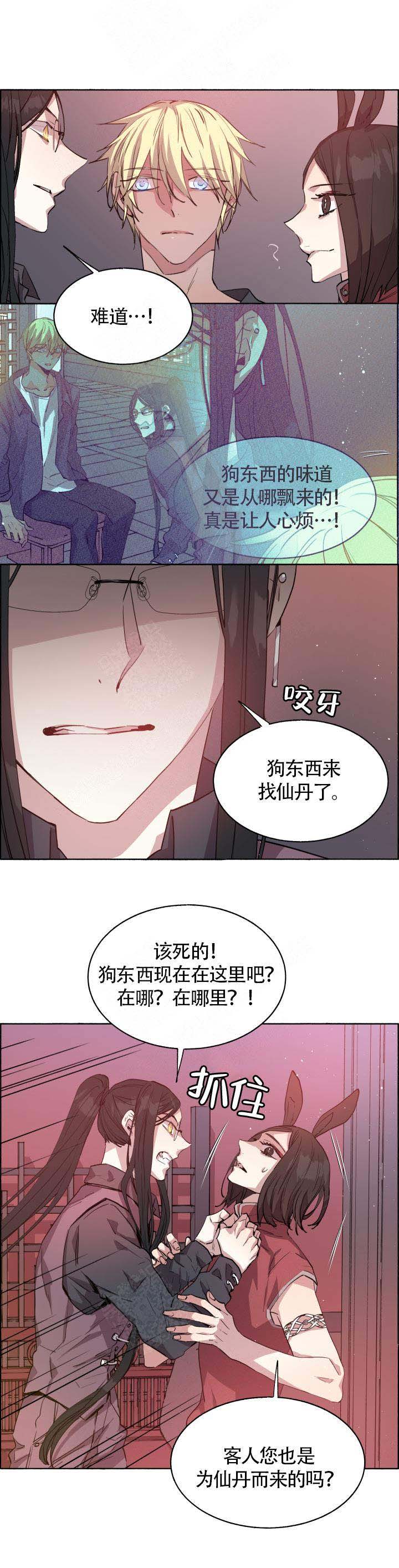 《巫师与狼》漫画最新章节第67话免费下拉式在线观看章节第【3】张图片