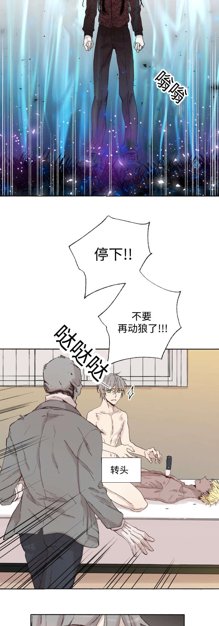 《巫师与狼》漫画最新章节第39话免费下拉式在线观看章节第【2】张图片