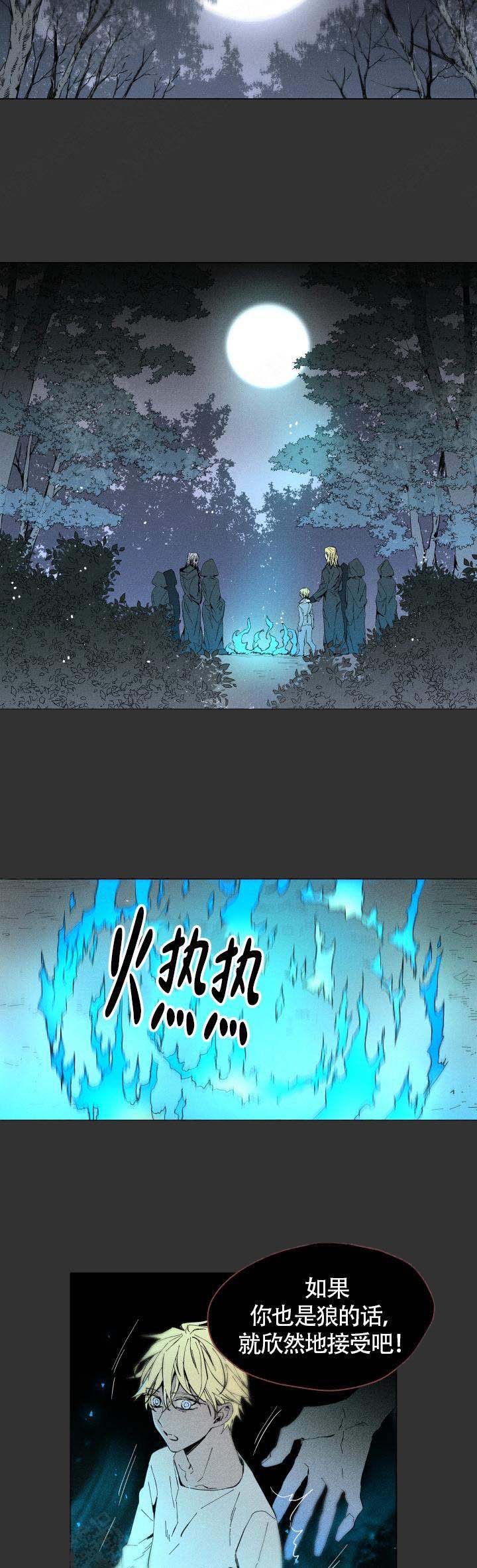 《巫师与狼》漫画最新章节第57话免费下拉式在线观看章节第【8】张图片