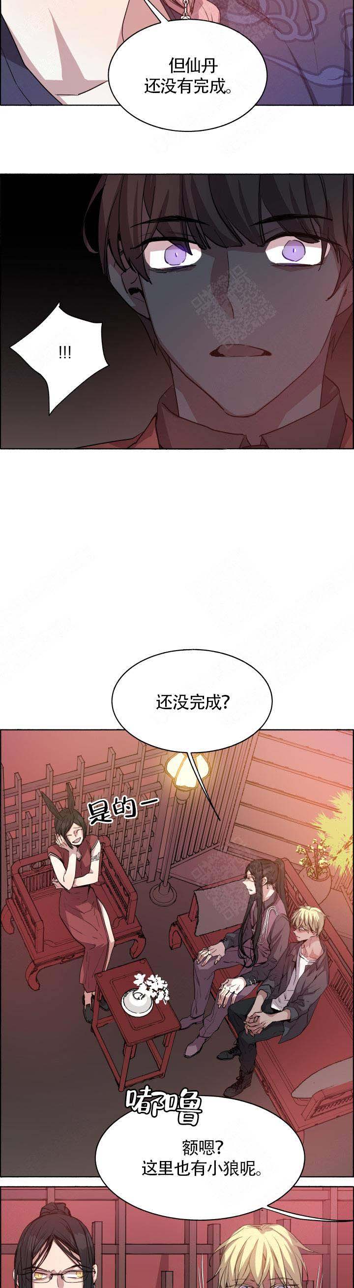 《巫师与狼》漫画最新章节第67话免费下拉式在线观看章节第【8】张图片