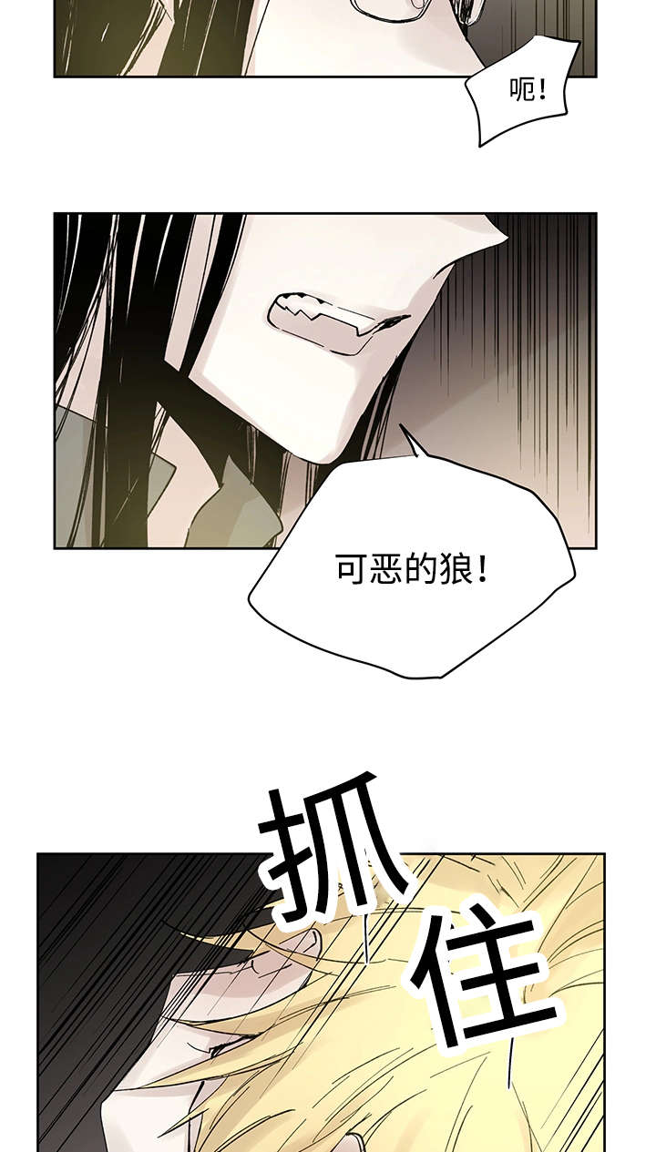 《巫师与狼》漫画最新章节第24话免费下拉式在线观看章节第【11】张图片