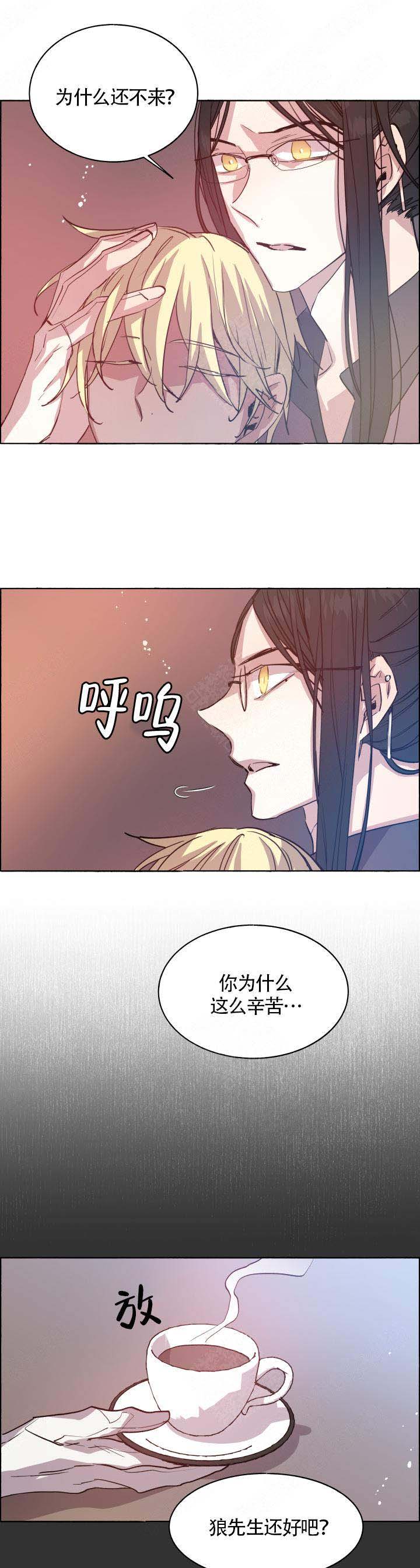 《巫师与狼》漫画最新章节第65话免费下拉式在线观看章节第【11】张图片