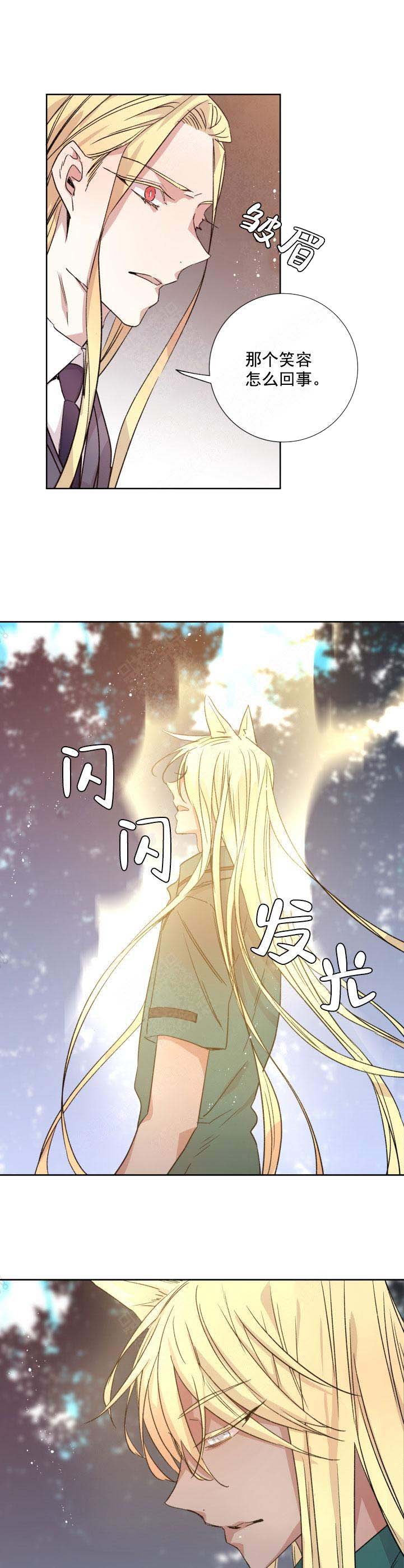 《巫师与狼》漫画最新章节第116话免费下拉式在线观看章节第【8】张图片