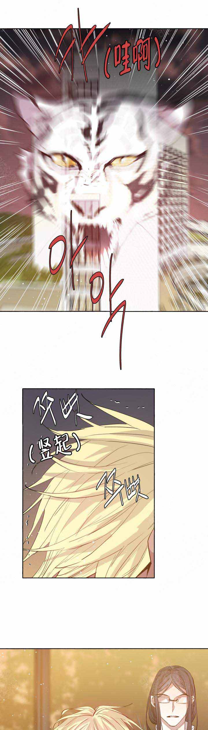 《巫师与狼》漫画最新章节第92话免费下拉式在线观看章节第【11】张图片