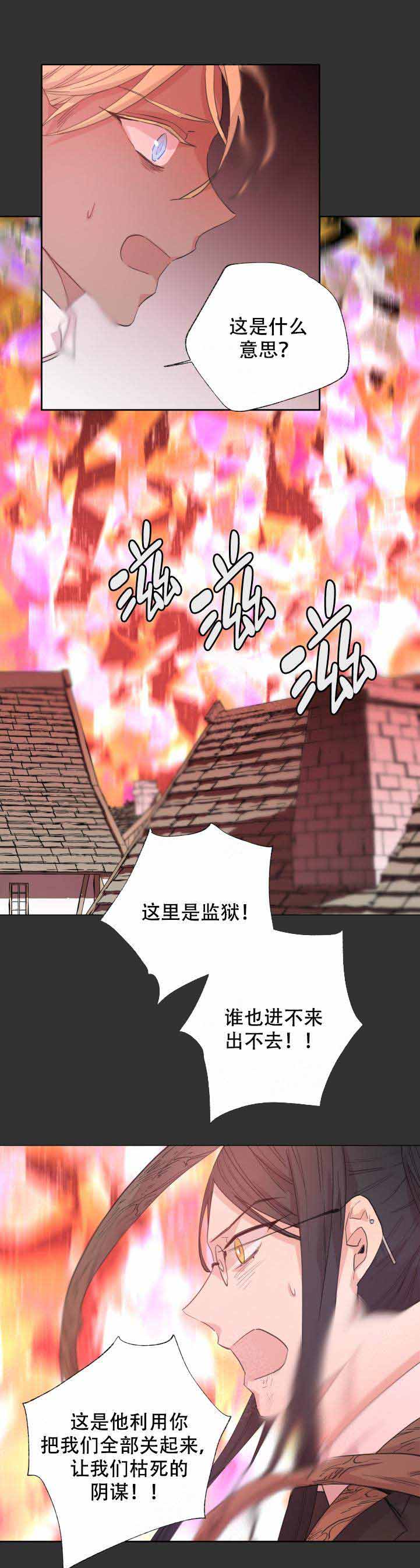 《巫师与狼》漫画最新章节第108话免费下拉式在线观看章节第【7】张图片