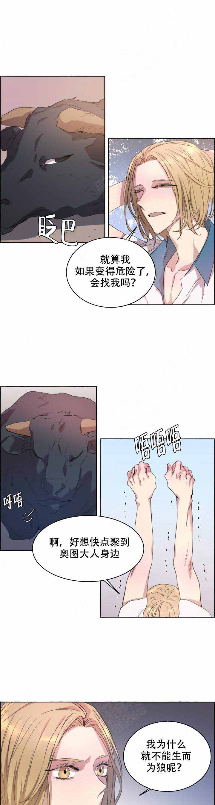 《巫师与狼》漫画最新章节第83话免费下拉式在线观看章节第【4】张图片