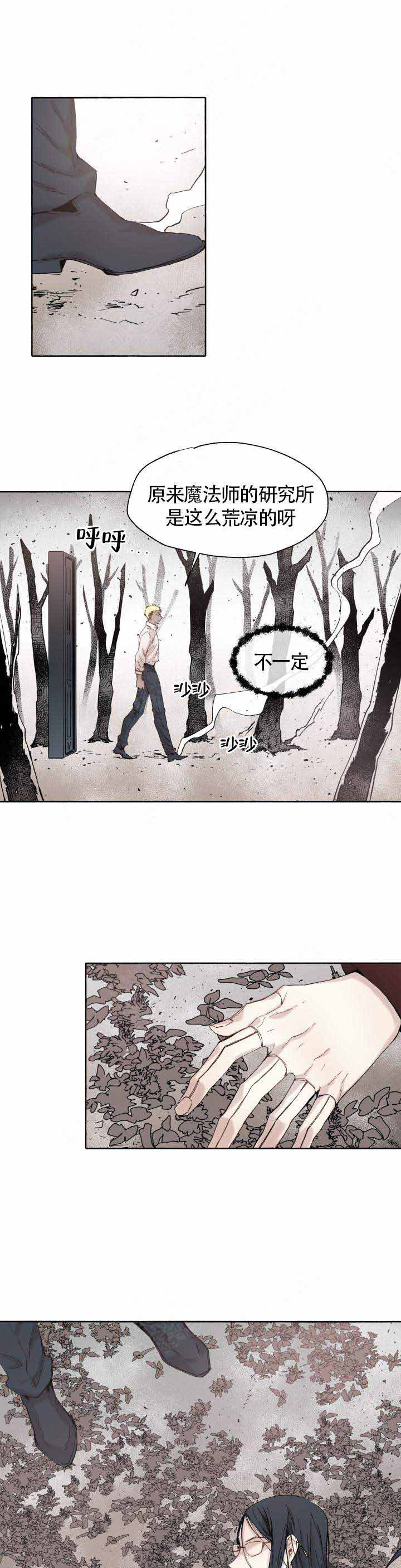 《巫师与狼》漫画最新章节第48话免费下拉式在线观看章节第【4】张图片