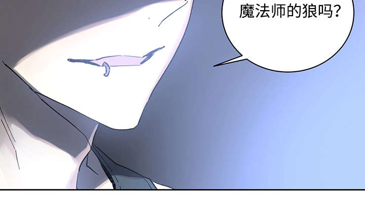 《巫师与狼》漫画最新章节第19话免费下拉式在线观看章节第【6】张图片