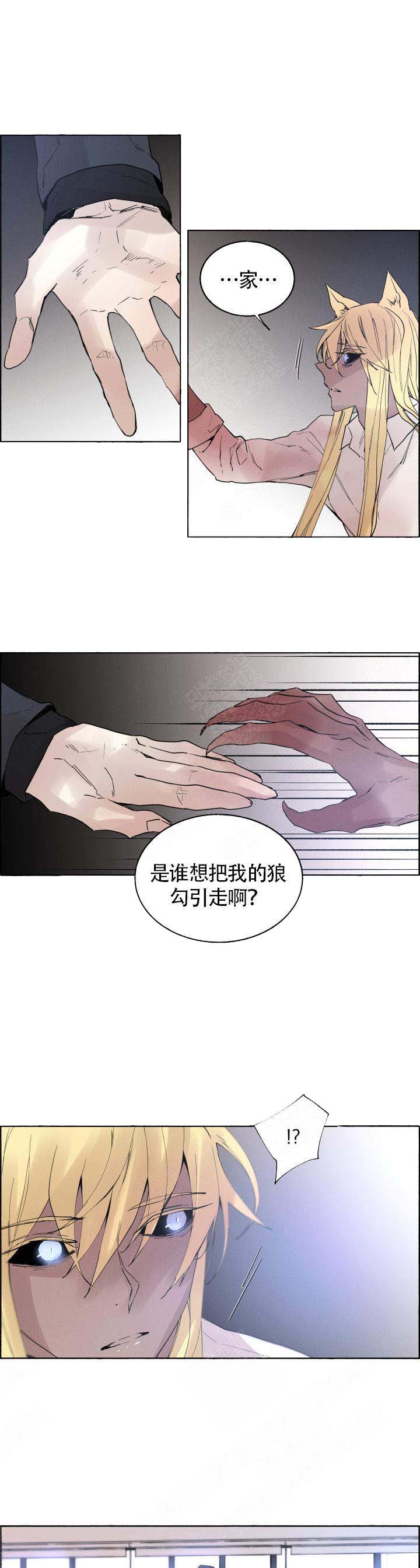 《巫师与狼》漫画最新章节第62话免费下拉式在线观看章节第【7】张图片