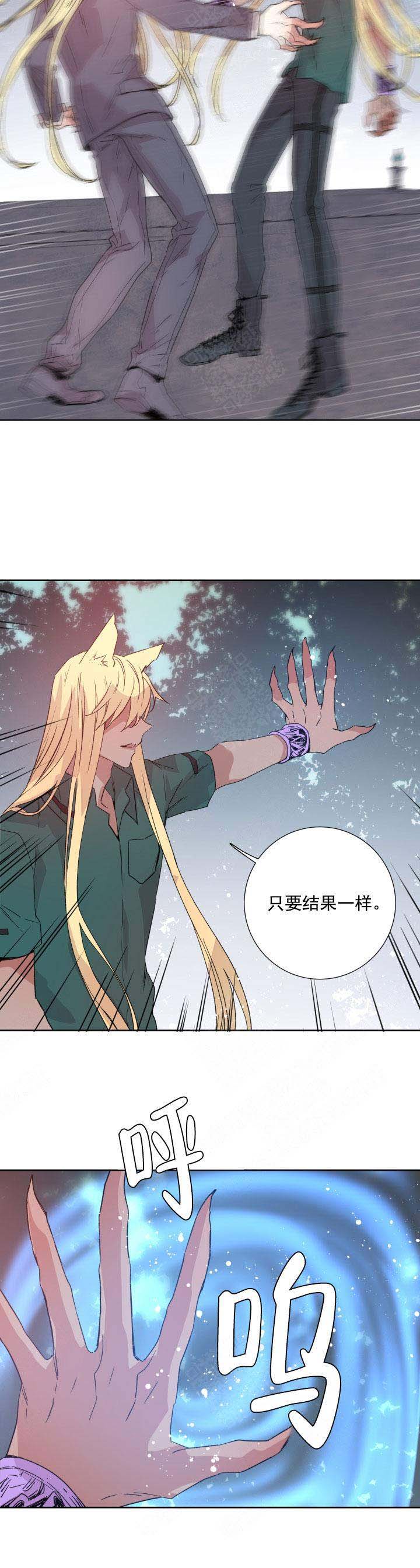 《巫师与狼》漫画最新章节第116话免费下拉式在线观看章节第【13】张图片