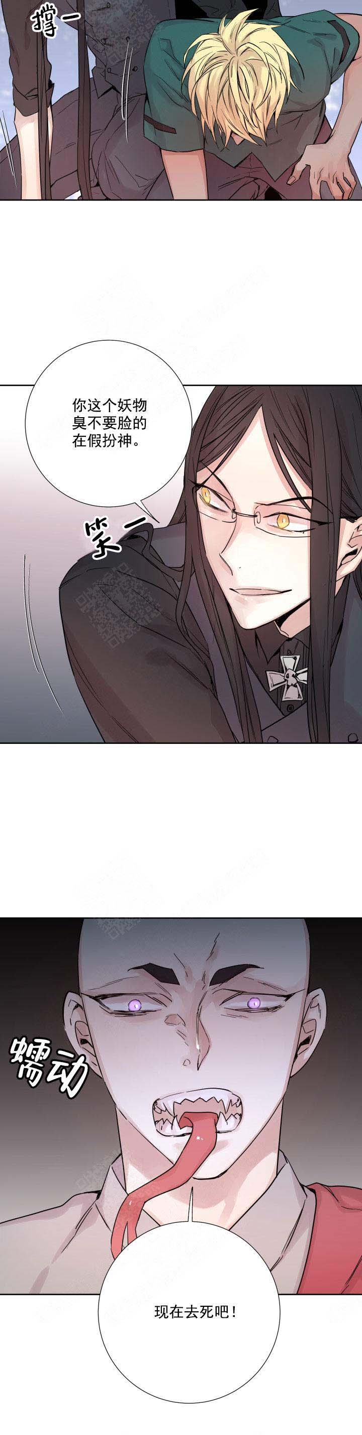 《巫师与狼》漫画最新章节第119话免费下拉式在线观看章节第【12】张图片