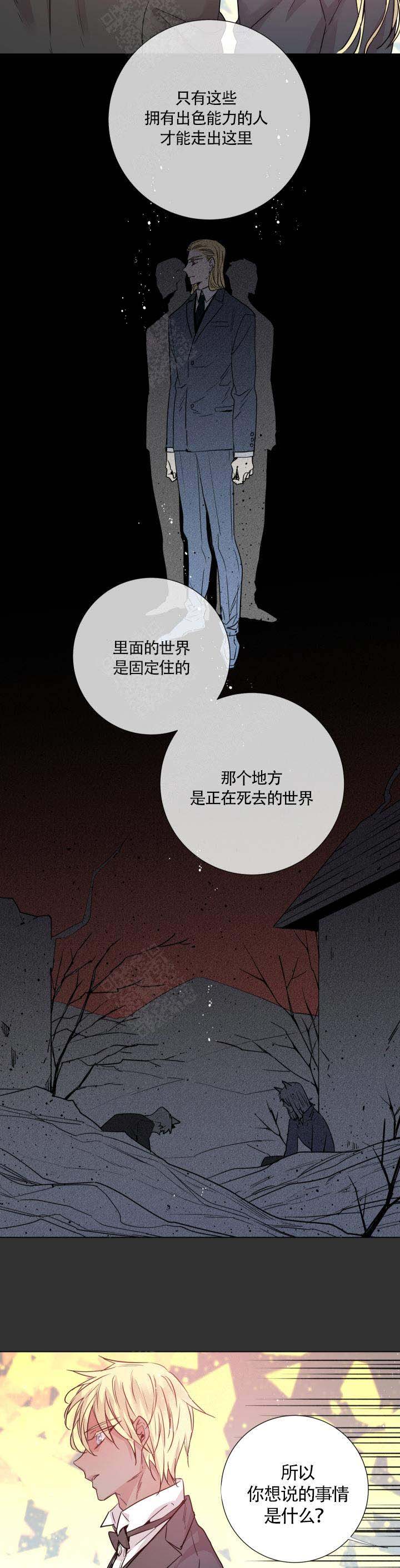 《巫师与狼》漫画最新章节第111话免费下拉式在线观看章节第【2】张图片