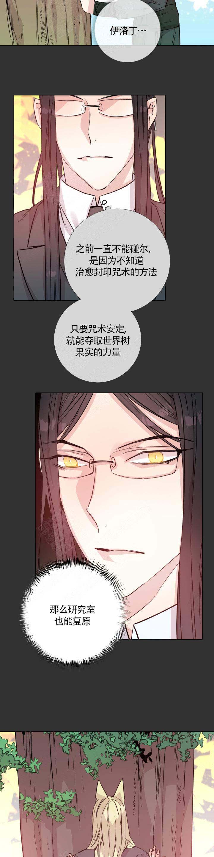 《巫师与狼》漫画最新章节第111话免费下拉式在线观看章节第【8】张图片