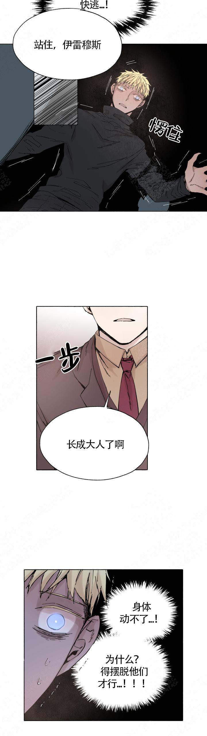 《巫师与狼》漫画最新章节第52话免费下拉式在线观看章节第【6】张图片