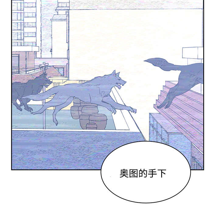 《巫师与狼》漫画最新章节第19话免费下拉式在线观看章节第【8】张图片