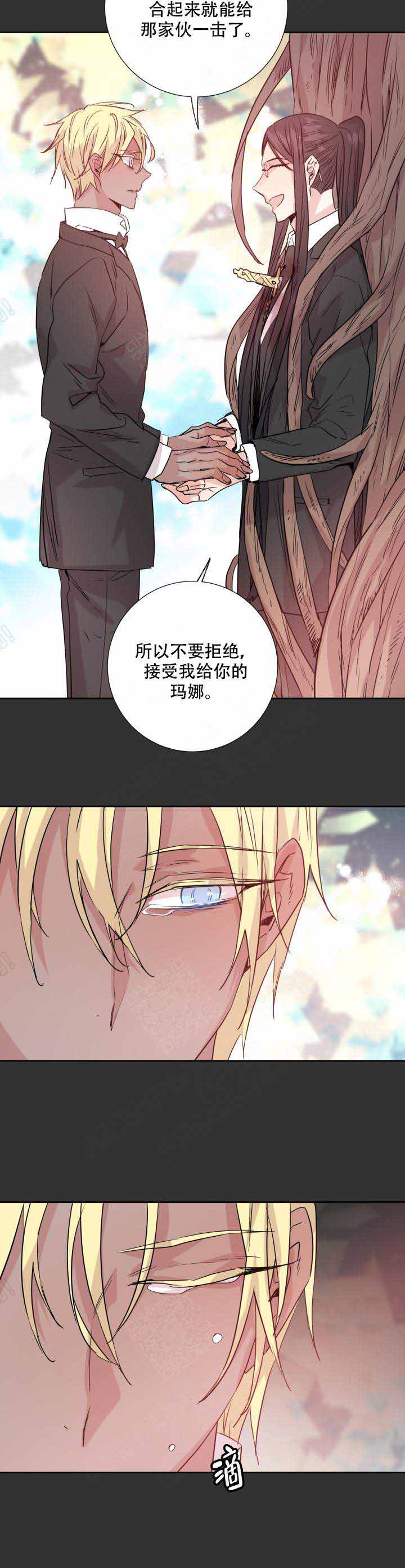 《巫师与狼》漫画最新章节第110话免费下拉式在线观看章节第【2】张图片