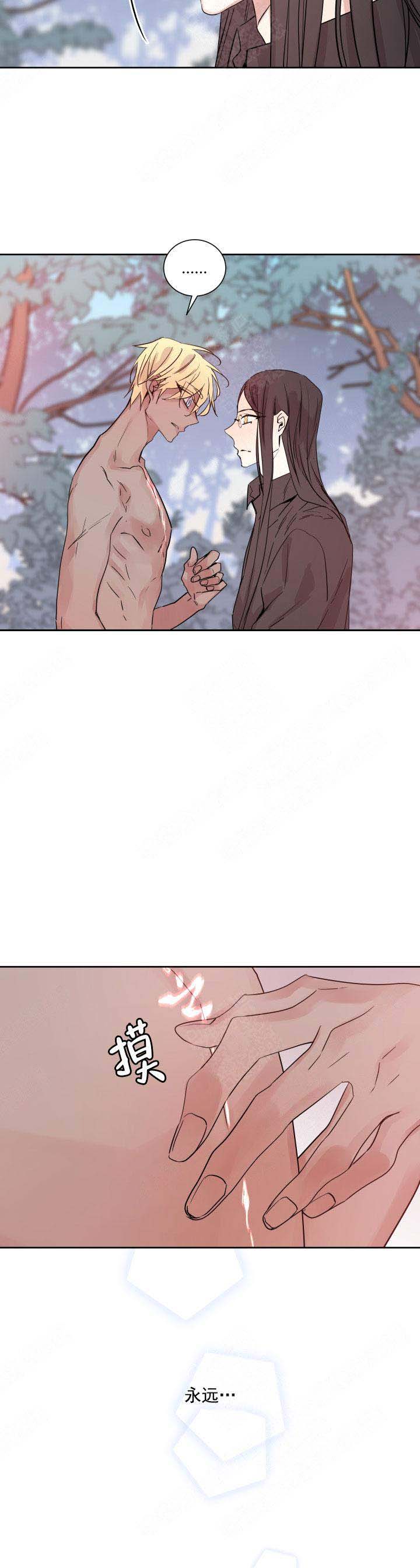 《巫师与狼》漫画最新章节第122话免费下拉式在线观看章节第【14】张图片