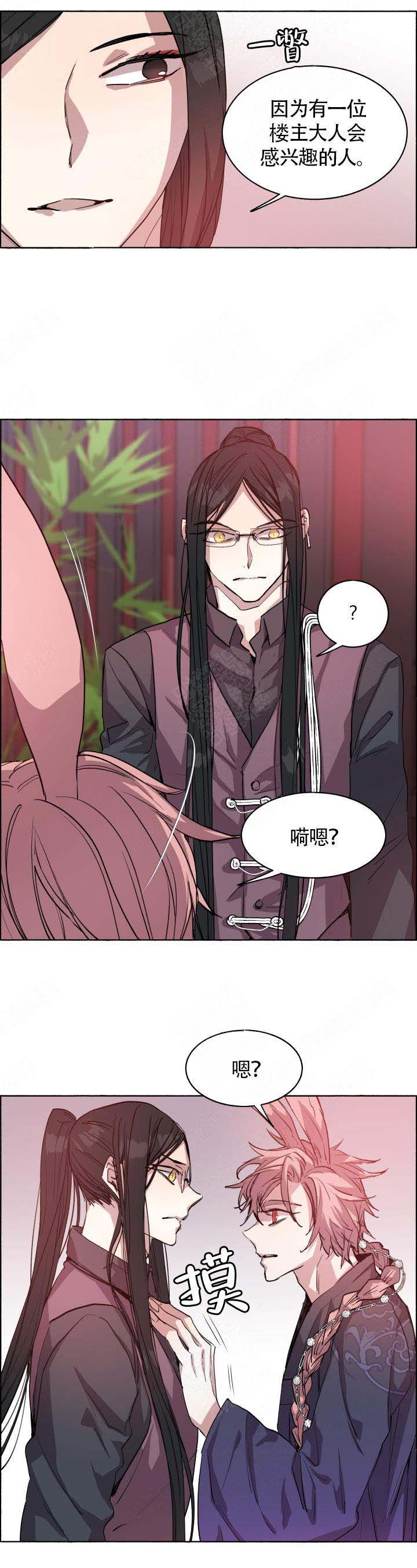 《巫师与狼》漫画最新章节第67话免费下拉式在线观看章节第【10】张图片