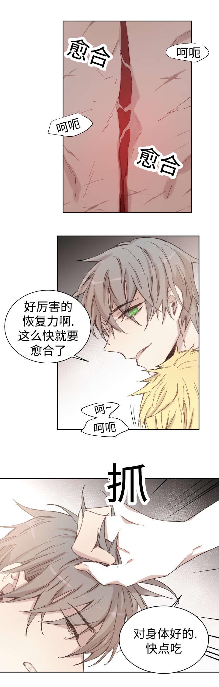 《巫师与狼》漫画最新章节第35话免费下拉式在线观看章节第【11】张图片