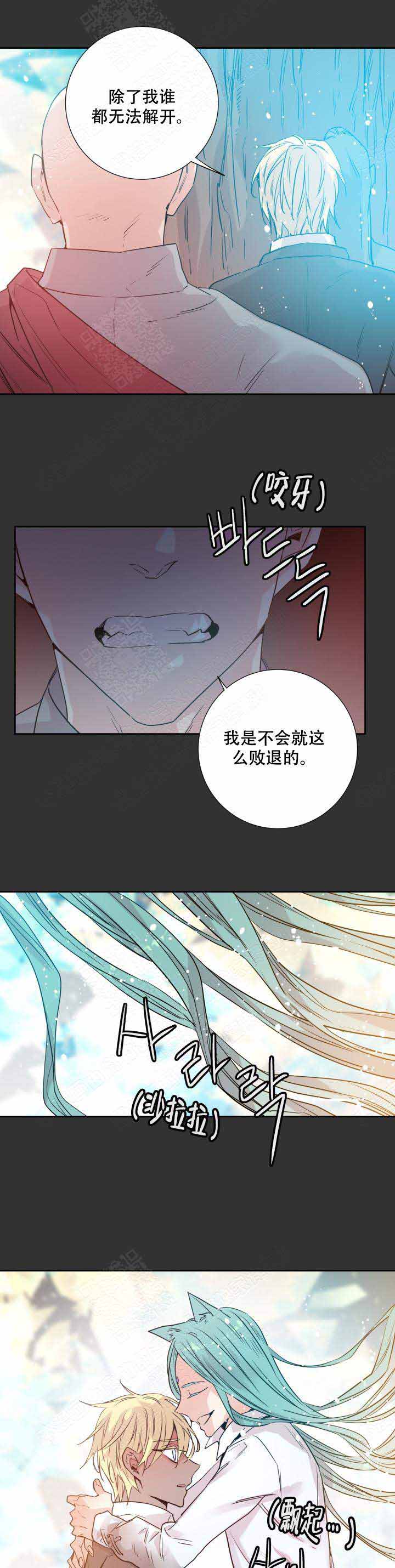 《巫师与狼》漫画最新章节第110话免费下拉式在线观看章节第【6】张图片