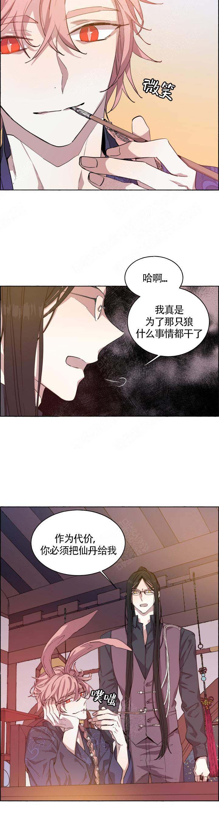 《巫师与狼》漫画最新章节第69话免费下拉式在线观看章节第【3】张图片