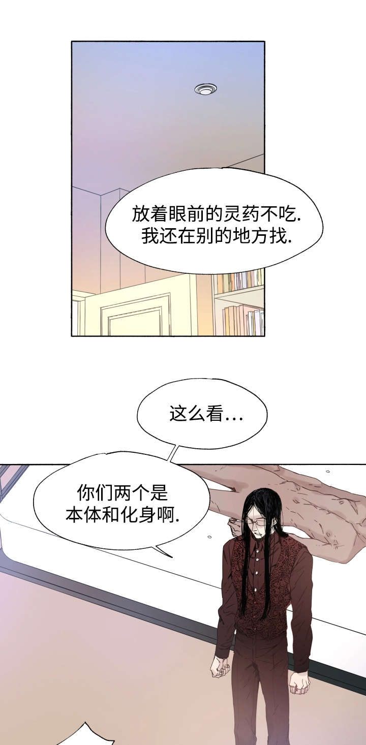 《巫师与狼》漫画最新章节第41话免费下拉式在线观看章节第【2】张图片