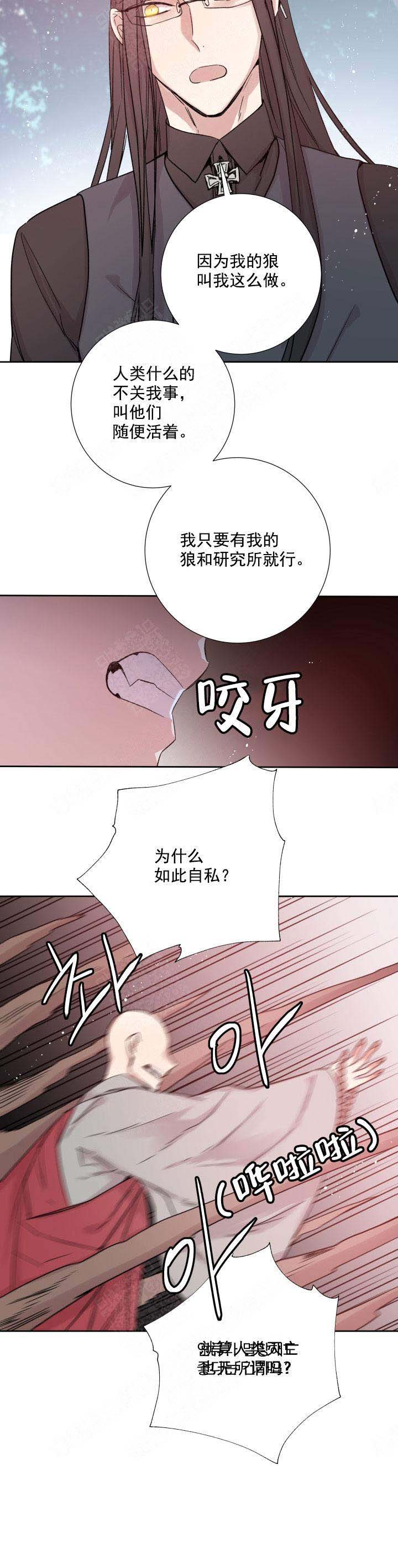 《巫师与狼》漫画最新章节第118话免费下拉式在线观看章节第【12】张图片